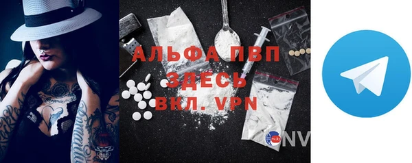 хмурый Белокуриха