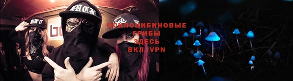 2c-b Богородицк