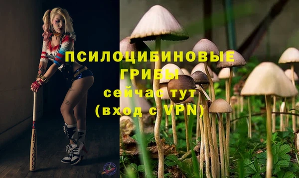 прущая мука Богданович