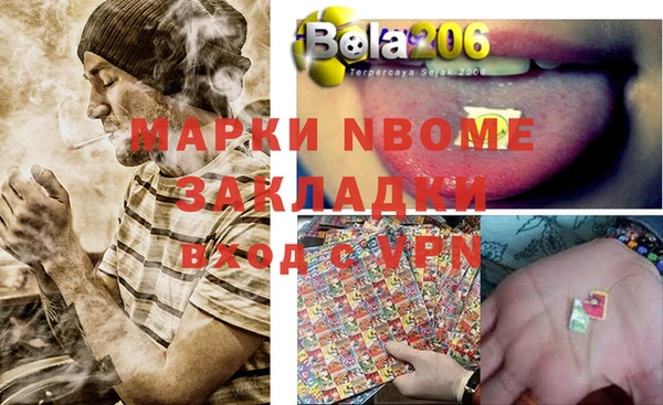 apvp Валдай